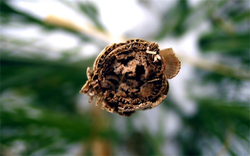 发票号不一致怎么办,跨月发票不能直接作废需用红色发票核销