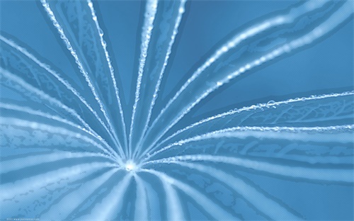 定额手撕发票验旧,验旧不显示验旧发票原因是没有权限