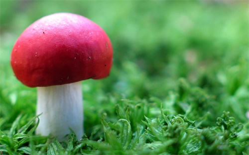 通用机打电子发票,网络发票又名通用机type发票